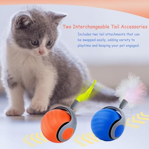 Speedy Tail 2.0 Bola interativa para gatos 2025 nova geração para ambientes internos automáticos com