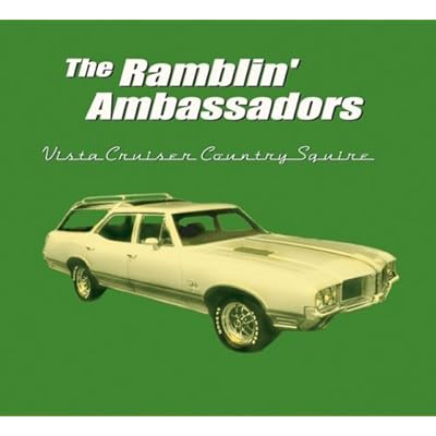Vista Cruiser Country Squire