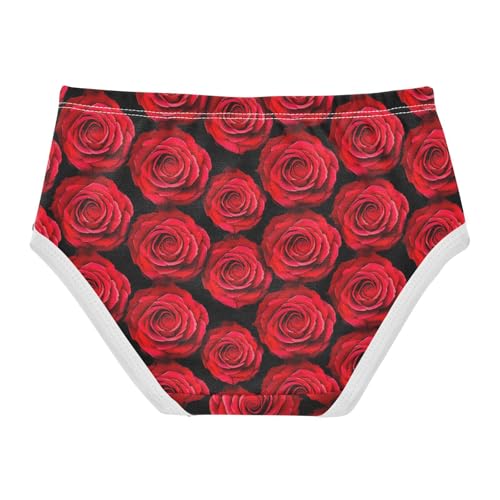 Joisal Toddlers Underwear Floral 2t Cotton Little Girl Panties Personalized Kids Briefs Undies Red Roses Floral Black2