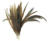 Lot de 24 plumes véritables décoratives pour mariage, Noël, travaux manuels, masques, costumes d'Halloween et carnaval (28-30 cm, mélange de faisan)