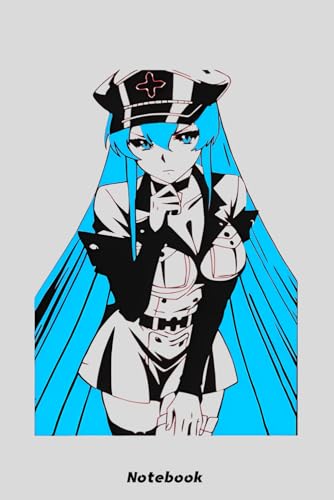 Akame ga Kill Essdeath Notebook: 6x9 120 Pages, Ruled Notebook, Journal, Daily Diary, Organizer, Planner
