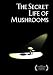 The Secret Life of Mushrooms