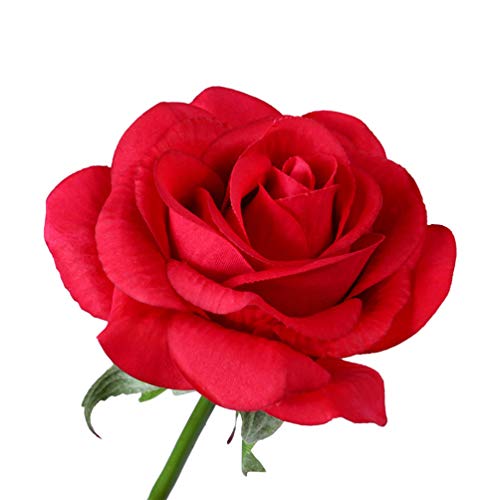 PIXNOR - flores de rosa de A Bela e a Fera, dura para sempre em redoma de vidro com luzes LED USB, m