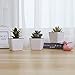 T4U 4 Inch Self Watering Plastic Planter with Liner Pack of 6 - Matte White, Modern Decorative Small Planter Pot for House Plants, Aloe, Herbs, African Violets, Succulents and More
