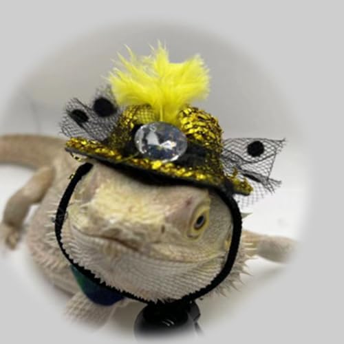 Chapéu de dragão barbudo e lenço bandana lagarto, roupas para animais de estimação, acessórios de fa