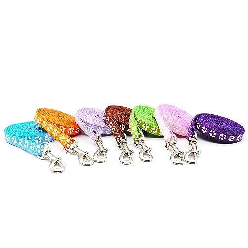 Small Dog Puppy Pet Cat Kitten Lead Pawprint Design Lightweight Nylon Metal Clip 120cm Leash Silver Light Grey - Image 4