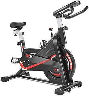 RELIFE REBUILD YOUR LIFE Exercise Bike Indoor Cycling Bike Fitness Stationary All-inclusive Flywheel