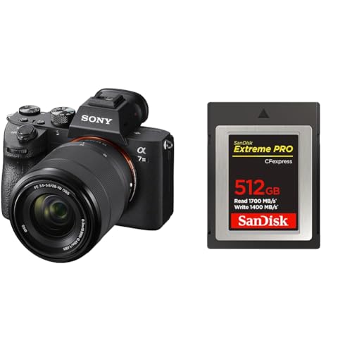 Amazon | SONY(ソニー) フルサイズ ミラーレス一眼カメラ α7III ズーム