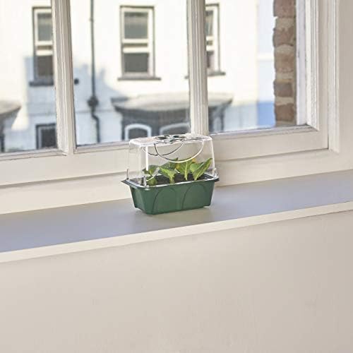 EarlyGrow MPL50077 Mini High Top Propagator with Shatterproof Lid for Seed Germination and Growth (1)