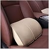 ZHONGLI Memory Foam Lumbar Support Pillow-Middle/Lower Back Support Cushion-Used for car Seats, Office Chairs, recliners, etc. (Beige)