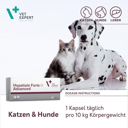 VetExpert Hepatiale Forte | 40 Tabletten | Ergänzungsfuttermittel für Hunde und Katzen