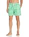 Kanu Surf Men's Waves Geo Volley Swim Trunk