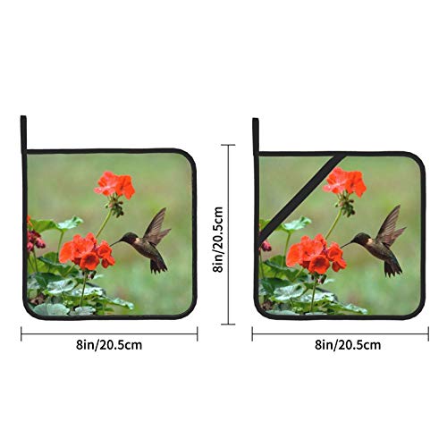 Pot Holders Set Of 2, Hummingbirds Birds Spring Summer Red Flowers Blossom Heat Resistant Kitchen Non Slip Printed Cooking Barbecue Baking Microwave #TOP1