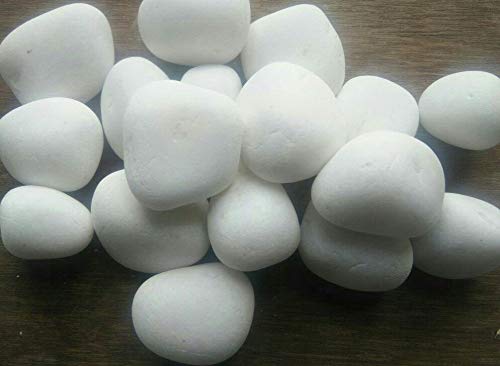 Universal Fountain Big, Jumbo Pebbles for Home Decoration/Beautiful (White, 1 Kg) (B07JDX9RC6) Amazon Price History, Amazon Price Tracker