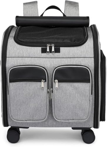 yAZIEBAYzLX^[tybgobNpbNb܂肽ݎEʋCbVbyʁeʁbLE^ΉbbNL[2WAYdlbsEʉ@EUɍœK