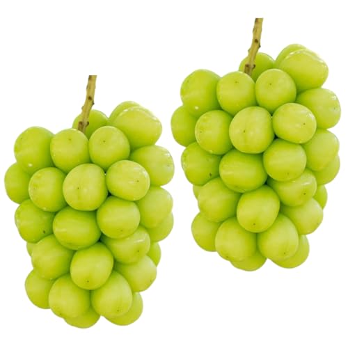 [先行受付2026年発送]シャインマスカット2房(1.1kg以上)|Ruga grape farm※2026年9月上旬以降発送予定