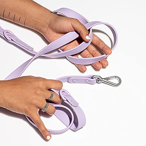 Wild One Leash - Standard - Lilac - Thumbnail 4