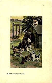 Rover Cat: A Purr-Fect Pet Companion? | PetShun