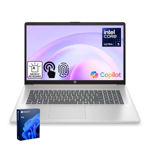 HP 17 Laptop for Professionals, 17.3' Touchscreen,...