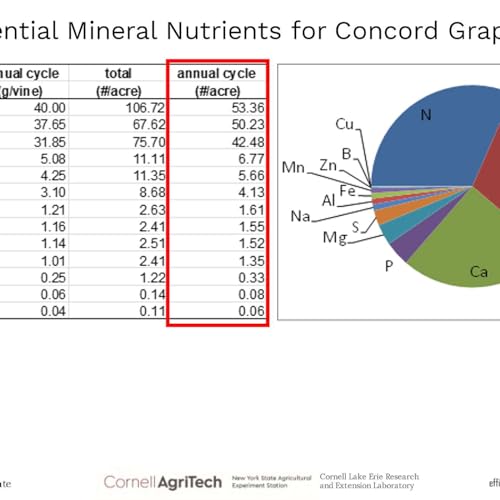 Between The Vines S3E10: #2 of Dr. Terry Bates Top 10 Nutrient Slides: The Big Dig Podcast Por  arte de portada