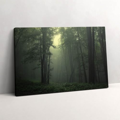 Forêt brumeuse le matin image sur toile 60x40cm pour agrandir une petite pièce