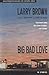 Big Bad Love: Stories