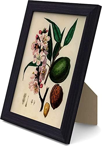 MH Traders Black A4 Picture Frame - Freestanding and Wall Mounted Photo Frame for Pictures Posters & Certificates - 21 x 30 CM A4 Size Compact Picture Frames