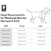 Hurtta Weekend Warrior Hundegeschirr II ECO (Parsley, 65-80 cm)