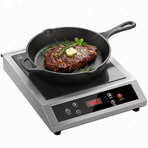 Stainless Steel Induction Burner