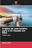  Projeto de uma turbina para o rio Vaupés em Mitú: Colômbia. 2016