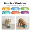 Pet Slow Feeder Bowl for Small Dogs, Puzzle Feeder for Petite Dogs, Anti-Choking, Slow Eating, 350ML Capacity, BPA-Free, Small Size