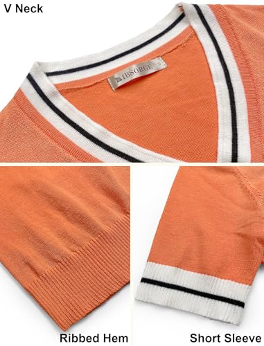 Image of Libsorge Womens Lightweight Cute Bow Tie Sweater Spring 2026 Business Casual Outfits V Neck Short Sleeve Tops