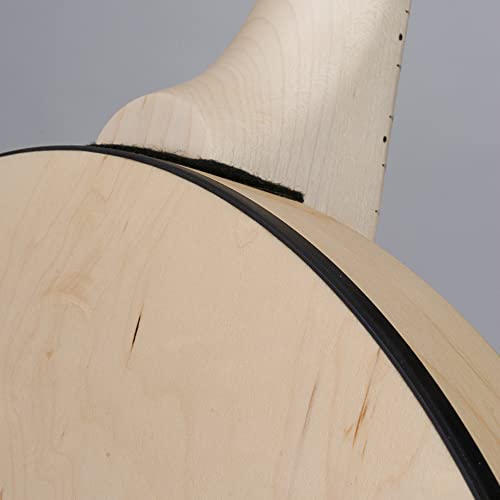 Deering Goodtime Special 5-String Banjo #TOP5