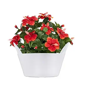 Sharpex Basket Type Flower Pot (White)