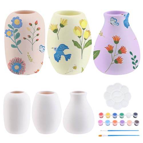 WEBEEDY 3 Styles DIY Ceramic Succulent Pots Paint Kit for Adults Beginner Paintable Ceramic Succulent Plant Pots DIY White Ceramic Pottery Planters Decorating Kit for Table Home Birthday Gift
