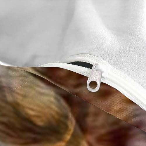 Housse de couette imprimé 3D écureuils en microfibre haute densité