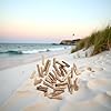 20 Pcs Natural Driftwood Pieces Branch Slices Craft Sticks Beach Decor DIY Craft Supplies #5