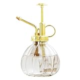 Plant Mister, 6.5" Tall Decorative Glass Water Spray Bottle with Gold Top Pump Small Watering Can by