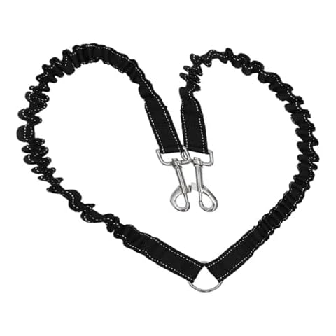 Roysmart Laisse Double pour Chiens Cover