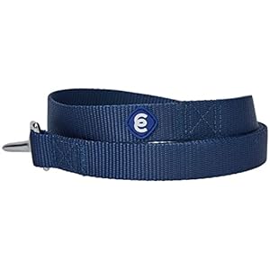 Guinzaglio Resistente per Cani Blueberry Pet Essentials - 1.5 m x 1.9 cm, Nylon, Blu Scuro, Taglia Media, Disponibile in 21 Colori
 - immagine 2