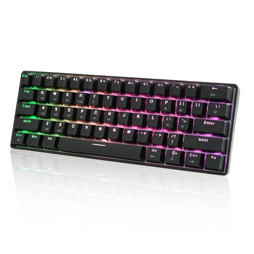 41oGf6uex4L.jpg