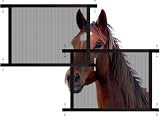 Horse Trailer Window Screen 2 Pack