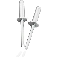 100 Pcs 1/8" x 5/8" Aluminum Pop Rivets, 3.2 x 16mm Silver Blind Rivets, Aluminum Grip and Steel Mandrel