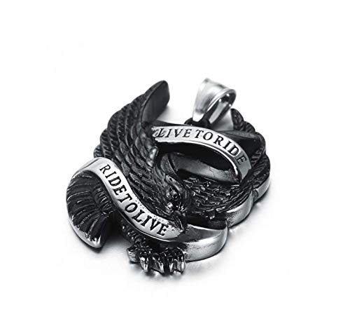 Stainless Steel Punk Hawk Eagle Pendant Motorcycle Biker Necklace For Men, 24" Chain (Black) #TOP4