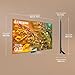 Samsung 55Q80D QLED-Fernseher 55 (140 cm) 4K UHD 3840 x 2160 100 Hz HDR+ Smart TV Tizen Gaming Hub 4xHDMI WLAN