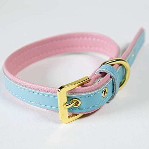 Girl Dog Collar/Cat Collar Adjustable Small - Medium Pink Soft & Comfy Padded Leather Puppy Cute Pet Collars - Sky Blue image 4