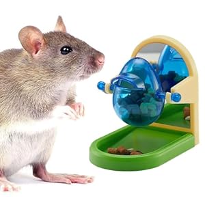Rat Enrichment Toys, Interactive Foraging Toys For Rats, Intelligence Growth Rat Enrichment Puzzle Games, Treat Dispensing Slow Feeder for Rat Cage Toy, Bird Foraging Toy for Parakeet Conure (1Pcs)