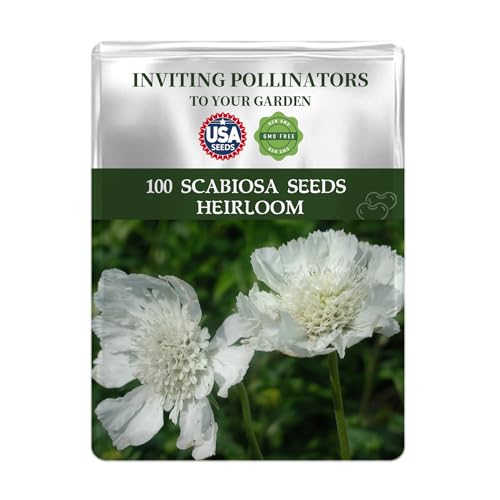 White Scabiosa Pincushion Flower Seeds Pack