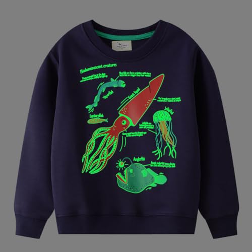 Boys Sweatshirts Long Sleeve Sweatshirts T-shirts Crew Neck Cotton Casual Sweatshirts Cartoon Tops for Boys-2322