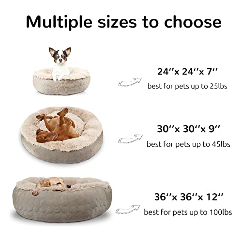 Hachikitty Dog Donut Bed Calming Bed Donut Round, Fluffy Dog Bed Medium Large Dogs, Cooling Warming Soft Dog Cushion Bed, Double Sided Available Donut Bed With Warm & Cool Sides(X-Large, Taupe) #TOP5